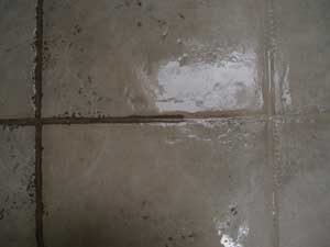 Picture showing the different in grout lines after tile and grout cleaning