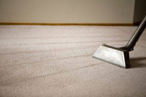 Shag rug with carpet cleaning equipment
