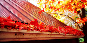 Gutter full of leaves