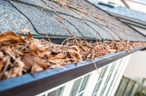 Clogged gutters on a home in need of Gutter Cleaning, a service that Sound Cleaning Resources provides