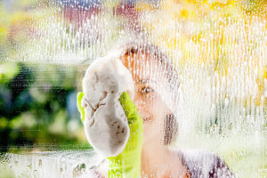 Window Washing