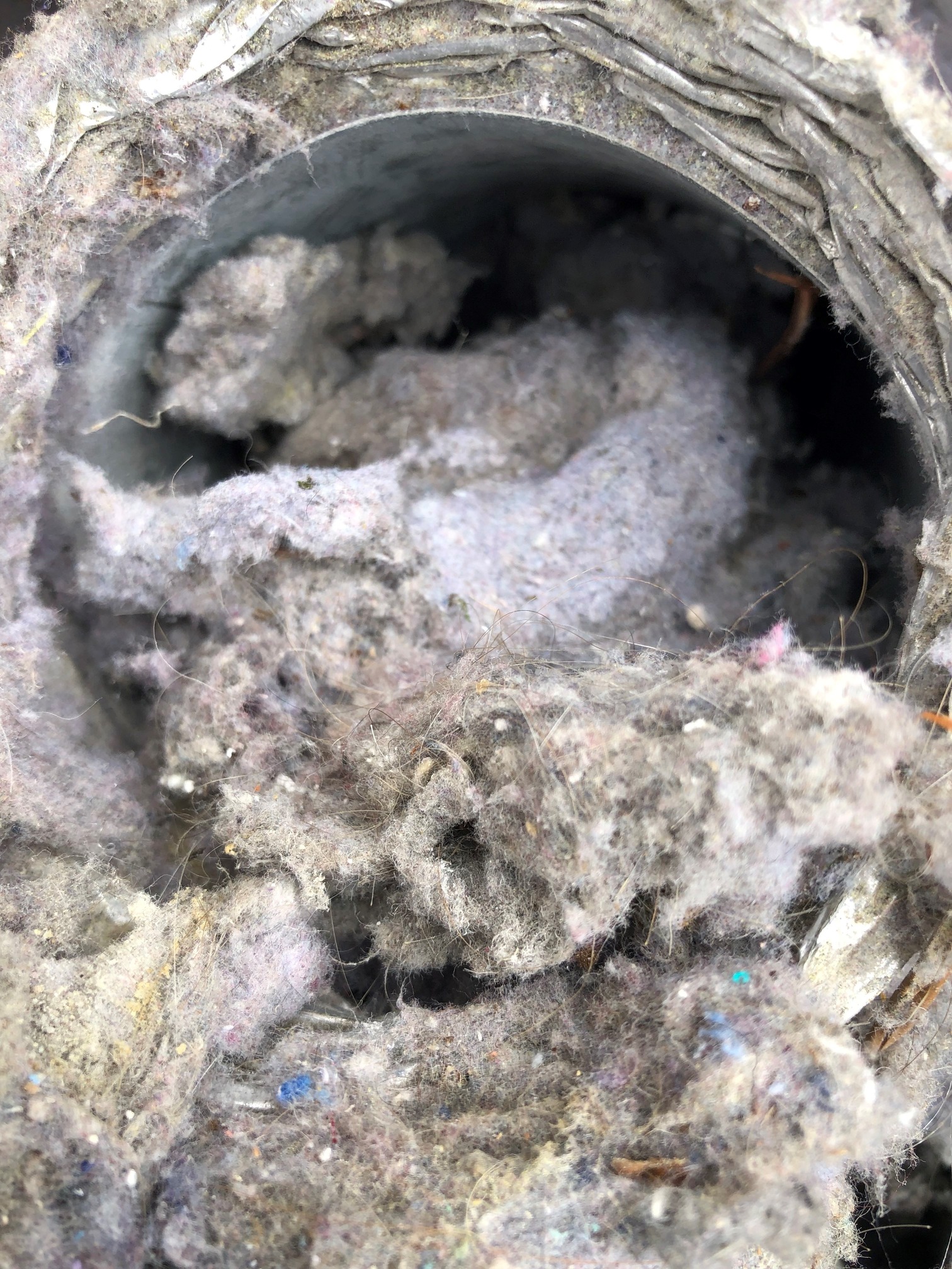 Picture showing dryer lint clogging a dryer duct before cleaning