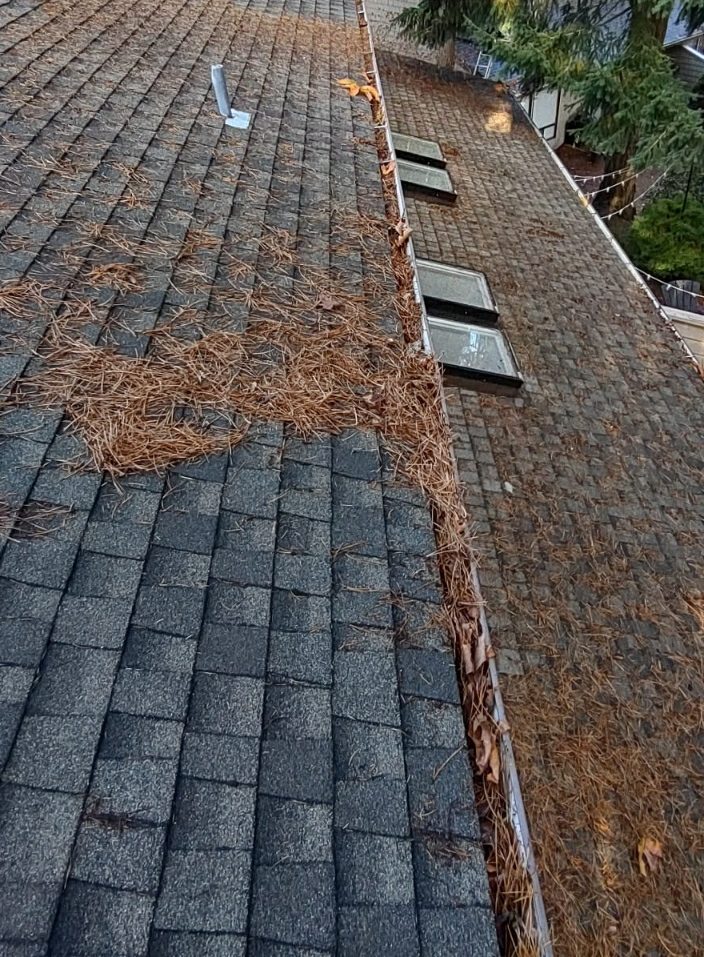 Picture showing roof and gutters covered in debris before gutter cleaning