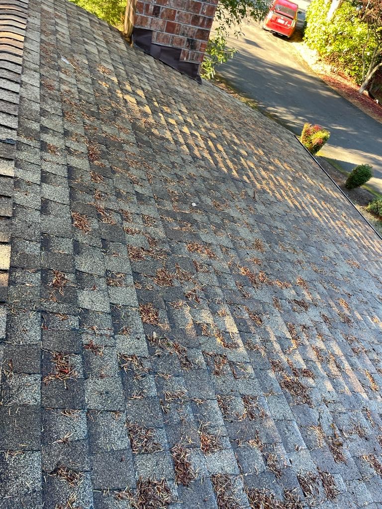 Picture showing roof and gutters covered in debris before residential roof cleaning