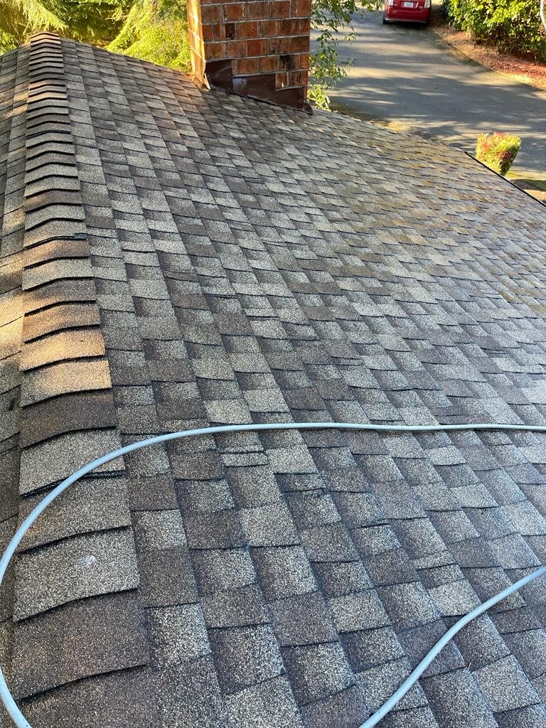Picture showing roof and gutters clear of moss and debris after residential roof cleaning