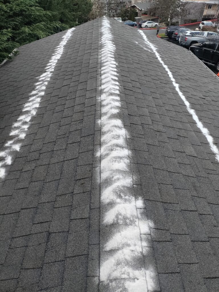 Moss Inhibitor The Key to a MossFree Roof Sound Cleaning