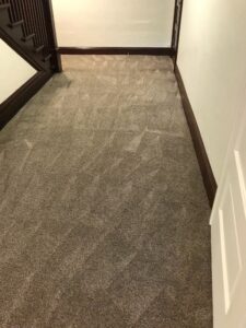 Residential hall after carpet cleaning services