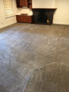 Living area with clean carpets after carpet cleaning