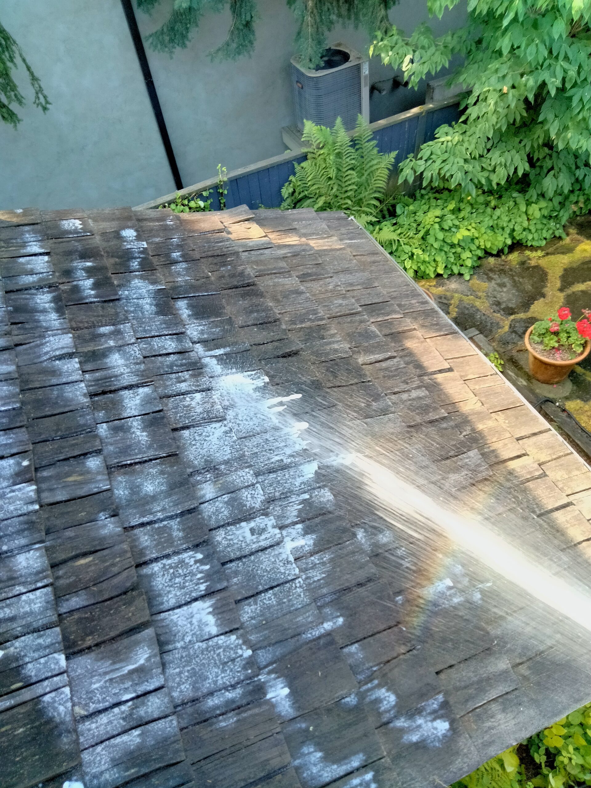 Job Showcase Lakeview Lanai Roof Blowing, Moss Inhibitor Application