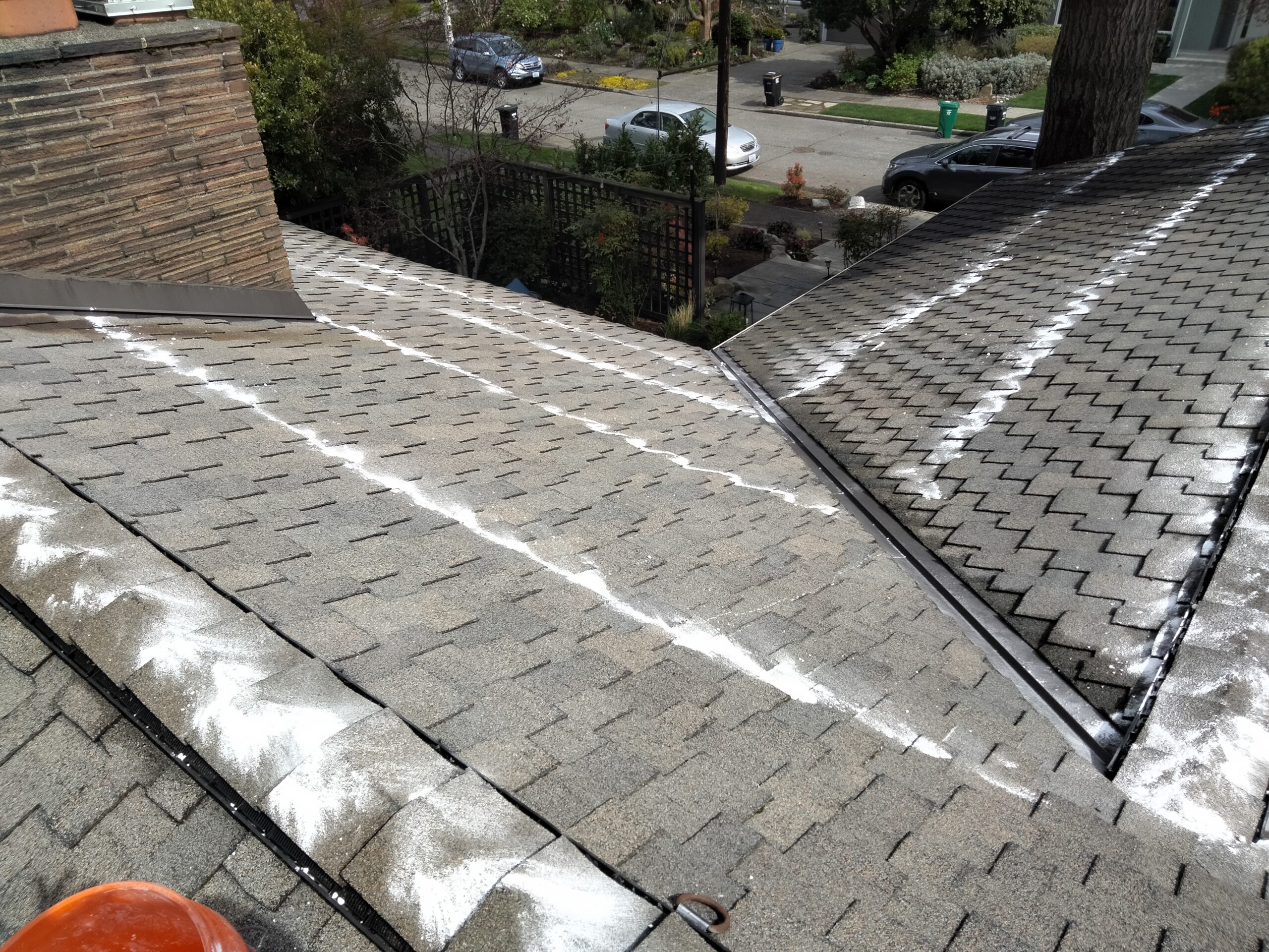 Understanding Moss Inhibitor Products and Why Professionals