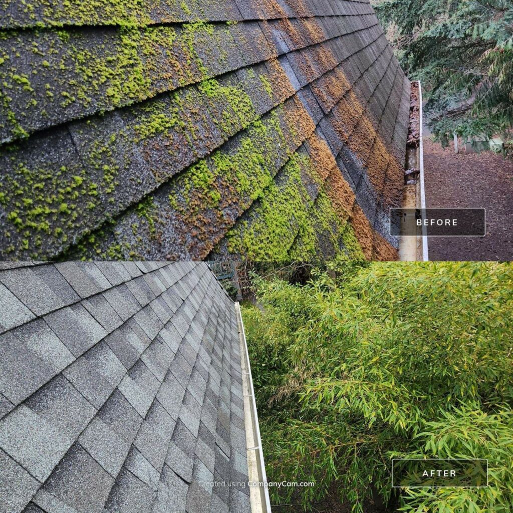 Job Showcase Atherton Condos Roof Cleaning, Moss Inhibitor Application