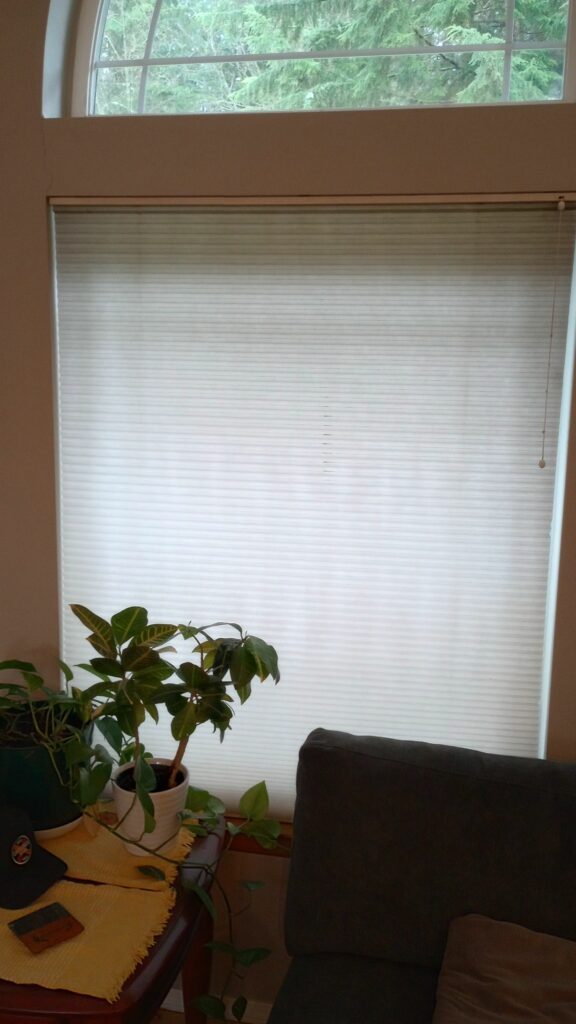 Fabric blinds, nicely cleaned.