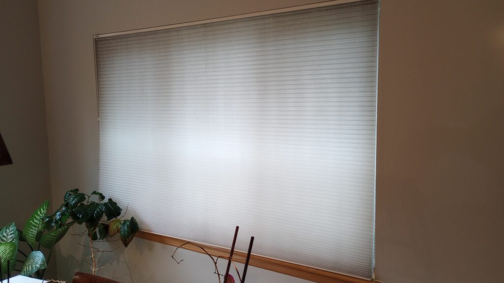 Light streaming through the blinds.