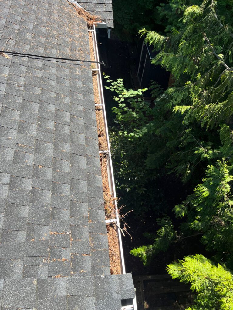 Dirty multifamily gutters and roof.