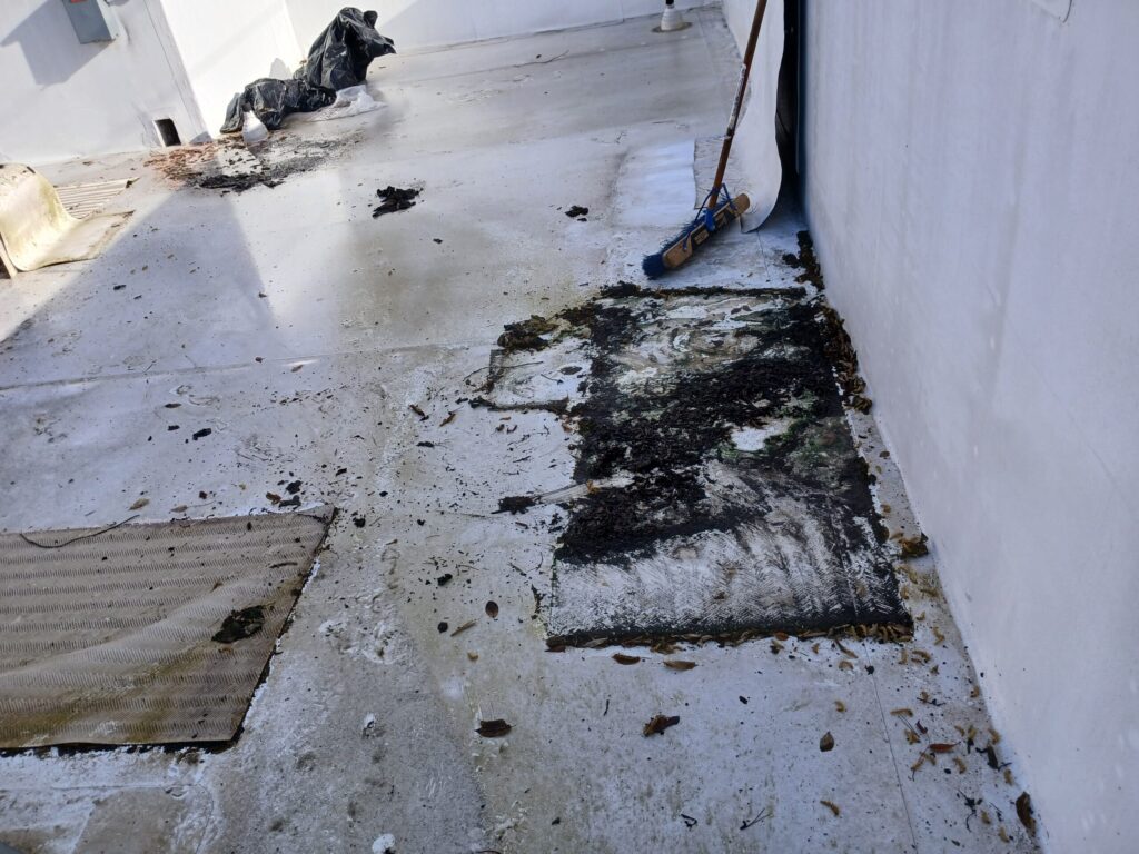 Commercial Roof and Gutter Cleaning in Seattle