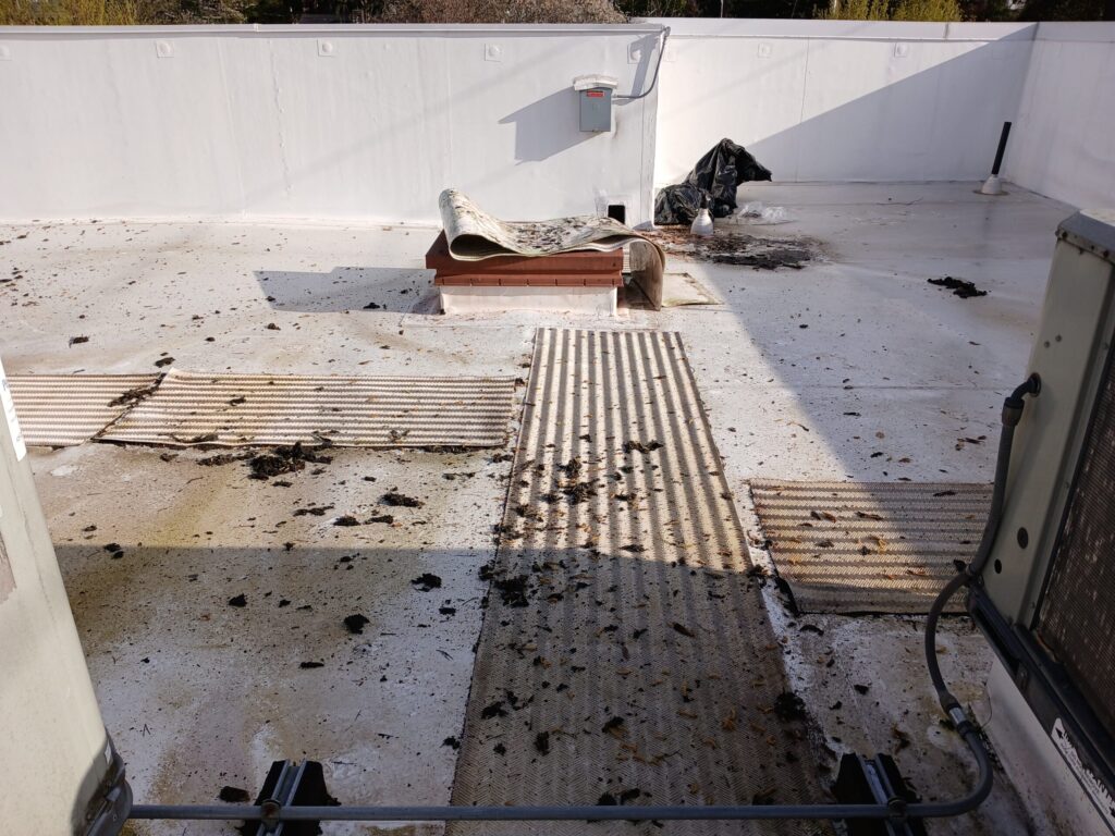 Commercial Roof and Gutter Cleaning in Seattle